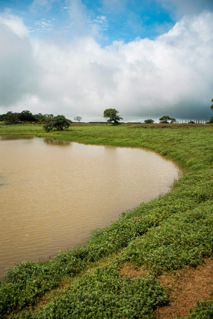 Pond at Kas pathar satara | Wandering Lens